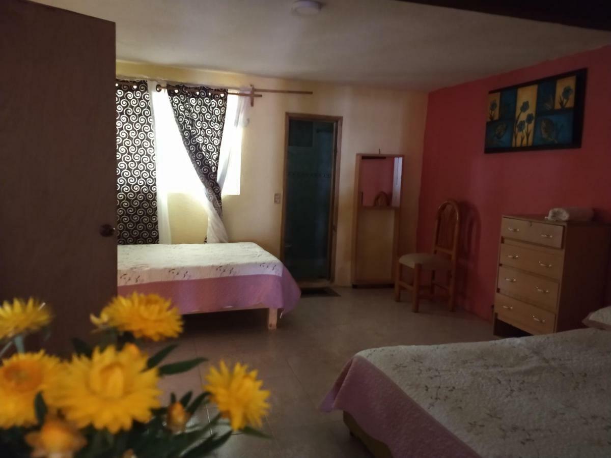 El Paraiso De Zacatlan Departamento Con Jardin, 11 Pax Eksteriør bilde